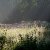 Свет и тени :: Юрий Цыплятников