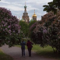 Белые ночи. на Марсовом поле. :: Валентин Яруллин