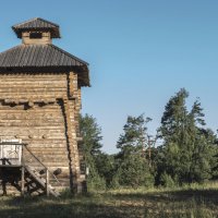 внутренняя сторона. :: Яков Реймер