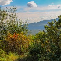 первые признаки осени. :: Александр Перелыгин