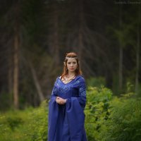 Лесной эльф :: Ludmila Zinovina