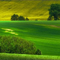 весенние поля Моравии :: Инга Кондрашова 