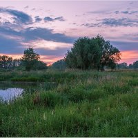 На закате :: Николай Алехин