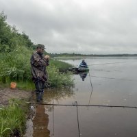 импортозамещение :: gribushko грибушко Николай