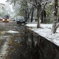 Первый  снегопад. :: Анатолий 2015 Трепышко