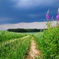 Перед дождём.Продолжение. :: Андрей Куприянов