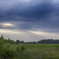 В поле :: Александр 