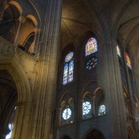 Paris. Notre Dame :: Олег Oleg