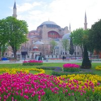 Фестиваль тюльпанов в Стамбуле :: wea *