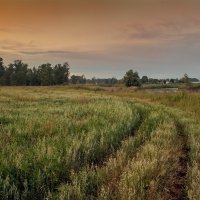 Вечер :: Николай Алехин