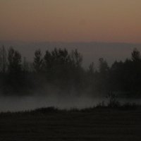 вечерняя мгла над озером :: Наталья 