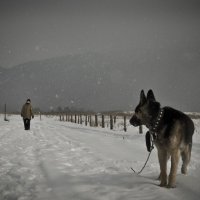 Друг :: Валентин Платунов