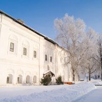 Ярославль. Спасо-Преображенский мужской монастырь :: Михаил Ворожцов