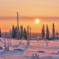 Розовое утро :: Наталья Гжельская