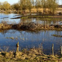 Вода подступила :: Владимир ЯЩУК