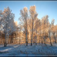 *** :: Евгений Герасименко