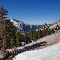 Yosemite :: Wattletree -