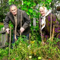 В супружеской паре - 75 лет :: Владимир ЯЩУК