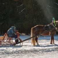 Мороз :: Екатерина Макарова  Фотографиня