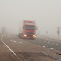 Туман :: Denis Deynega