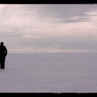 Путь во льдах :: Степан Миронов