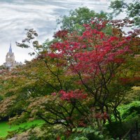 Осенние краски Эдинбурга :: Жанна Карчевская
