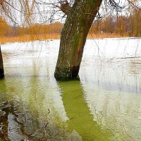 Вода :: Александр Ц