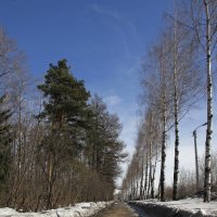 вдоль городского сада :: Вера Азсоль