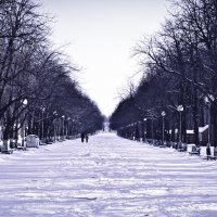 Последняя зима старого парка :: Алексей Згола