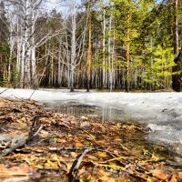 апрель :: Ольга Грязных