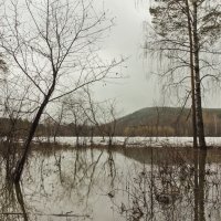 Большая вода :: Анна Черняева