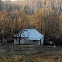 домик в лесу :: Серёга Захаров