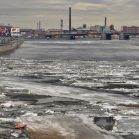 На Невском льду. :: Ирэна Мазакина