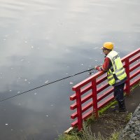 Работа не волк... :: Алексей Бычков