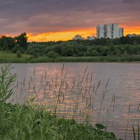 В дали от городского шума :: Алексей Соминский