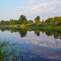 Река утром :: Юрий Стародубцев