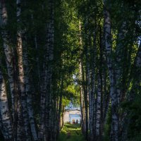 А там вода. :: Алексей Сараев