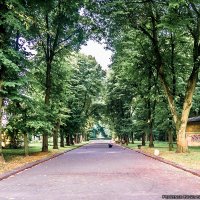 Парк во Львове :: Богдан Петренко