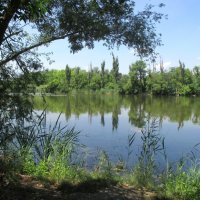 Озеро в ростовском зоопарке :: Нина Бутко