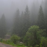 Туман на Казачке :: Alexandr Yemelyanov