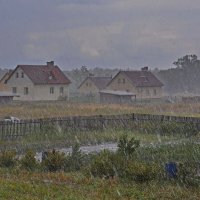 Долгожданный  дождь. :: Валера39 Василевский.