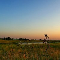 УТРО ЖАРКОГО ДНЯ. :: Владимир Михайлович Дадочкин