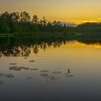 *** :: Юрий Митенёв