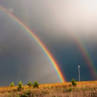 Редкое явление :: Ольга Осовская