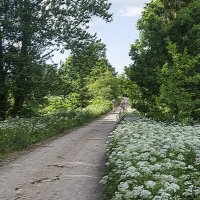 на вечерней прогулке :: Владимир Фомин