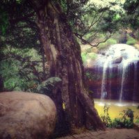 Один из водопадов Вьетнама :: Евгений Подложнюк