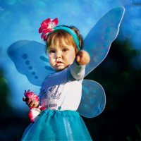 Прекрасная бабочка! :: михаил Смирнов