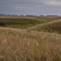 Вечерело... :: Лилия *