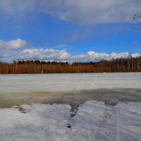 ВЕСНА В ДЕРЕВНЕ, РЕЧКА. :: Виктор Осипчук