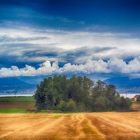 У Женевского озера.Швейцария. :: Александр Селезнев